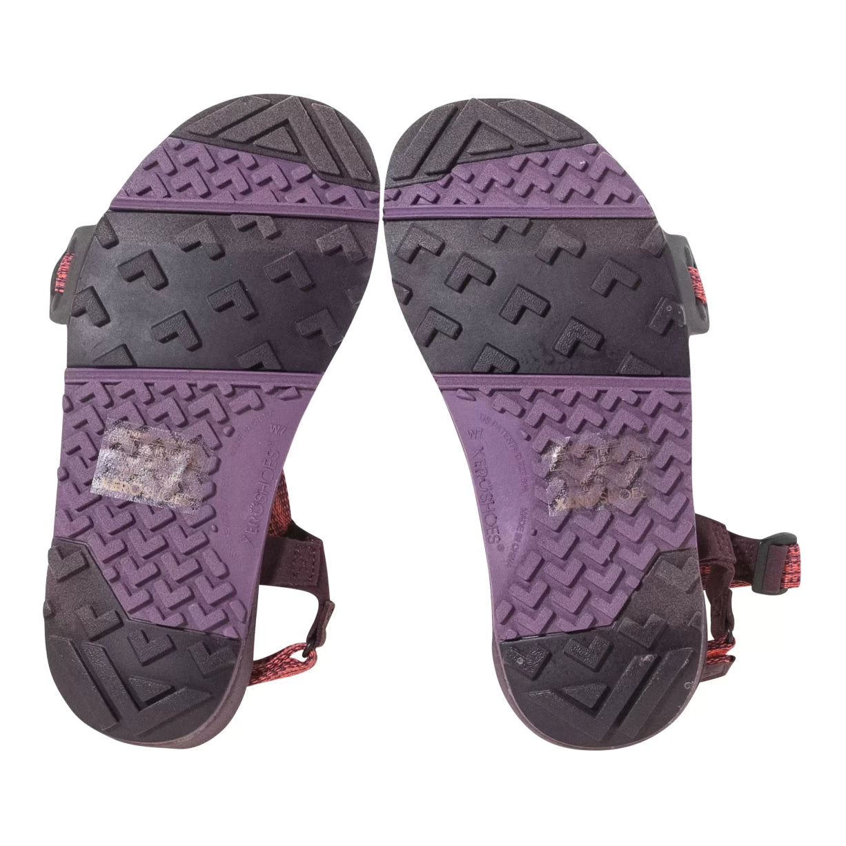 7Purple