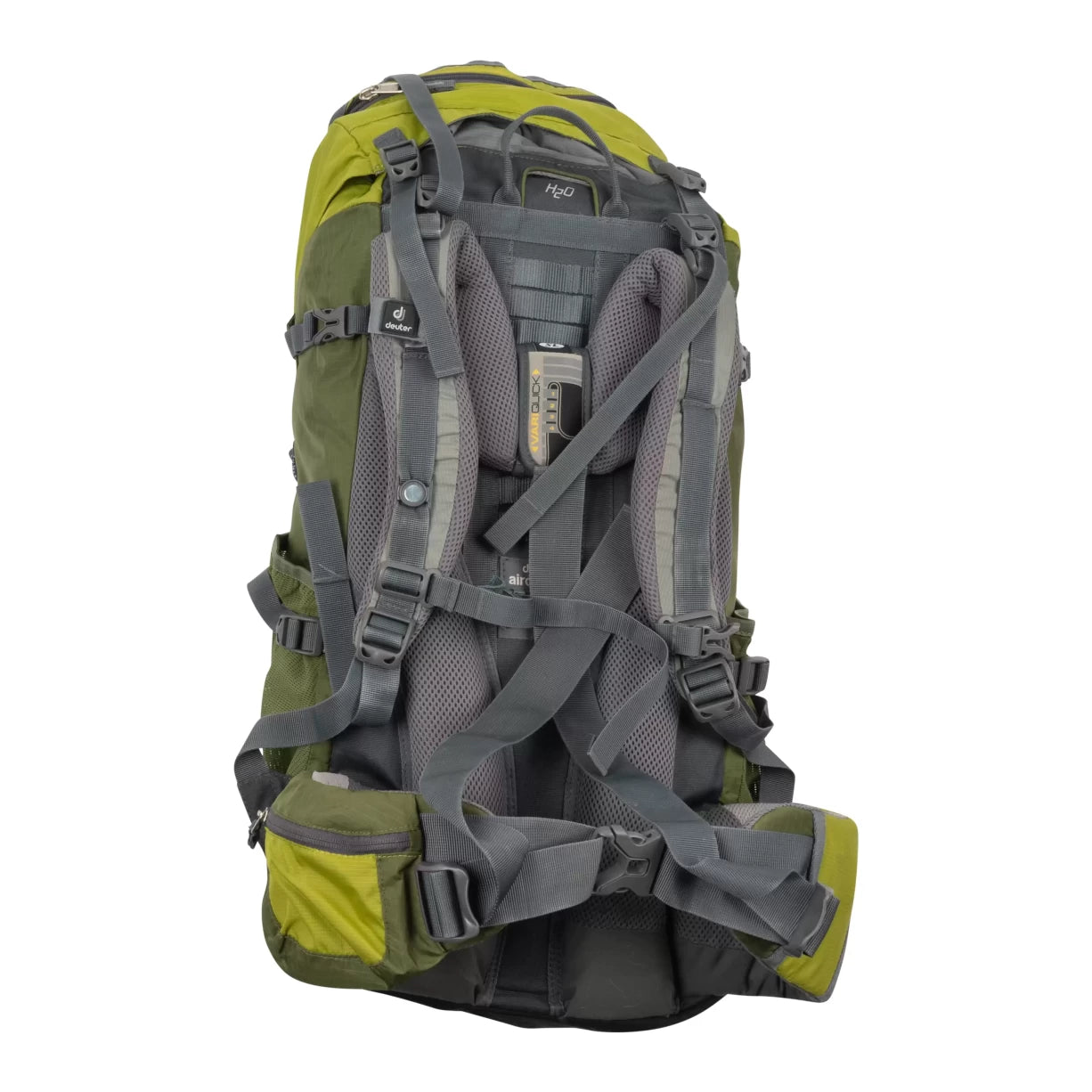55 LGreen