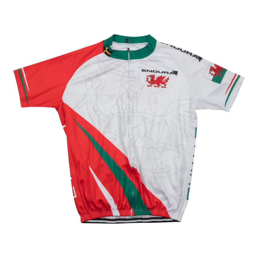 Endura bike jersey sale