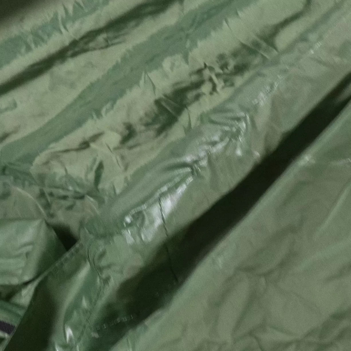 1 PersonGreen