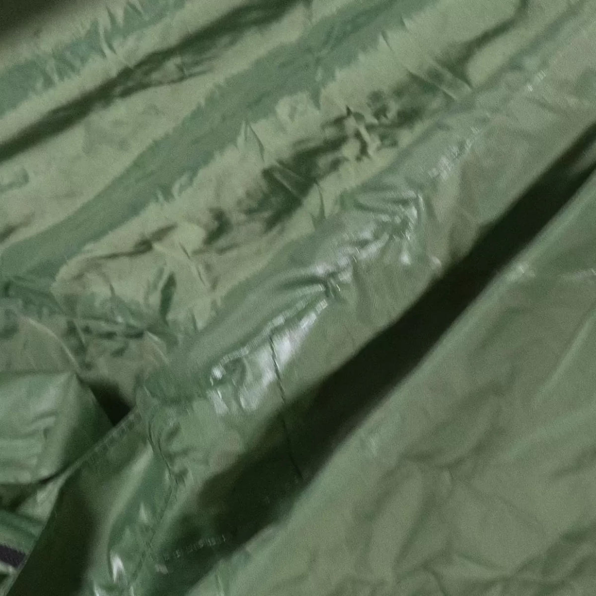 1 PersonGreen