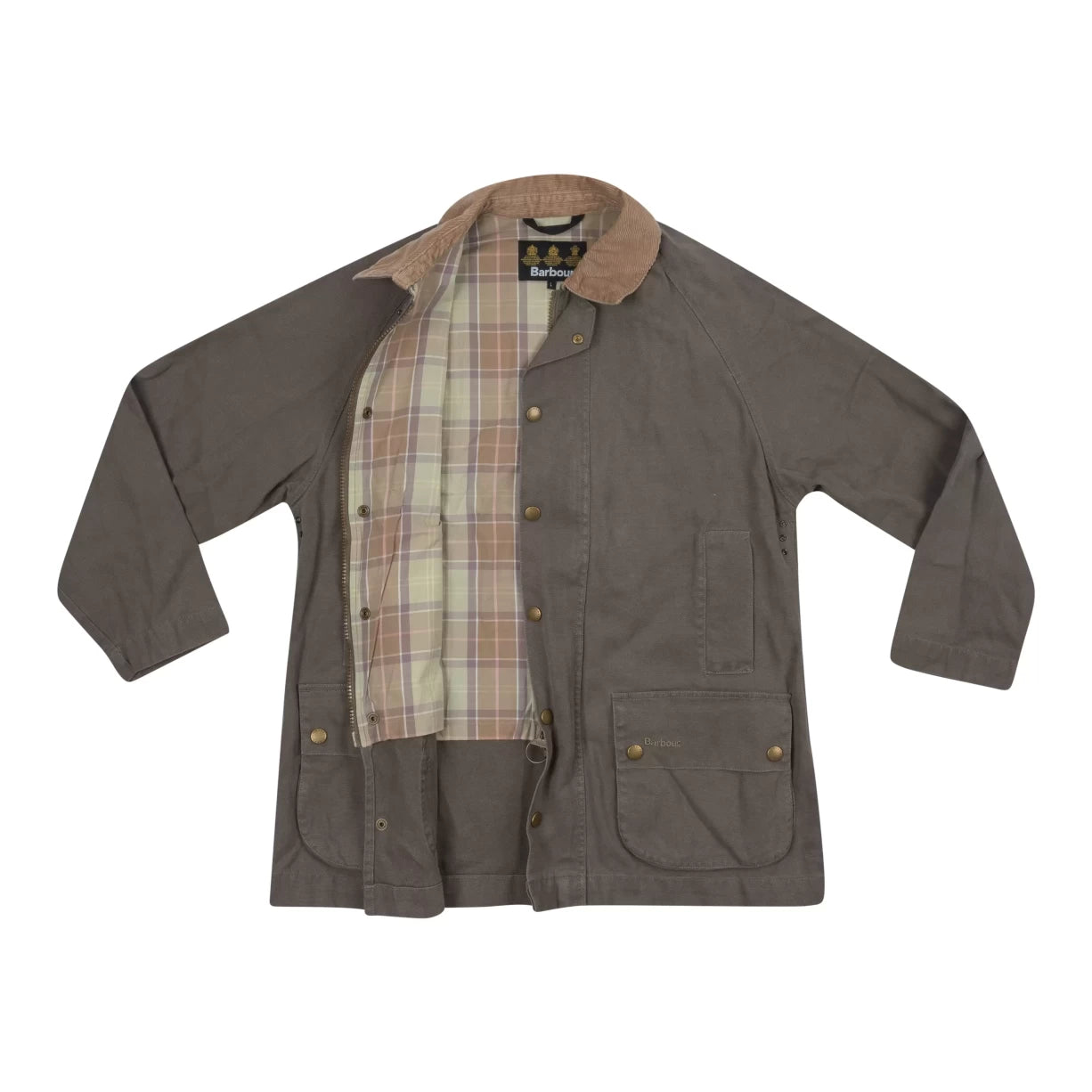 LLight Brown