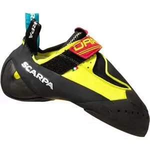 39.5Yellow