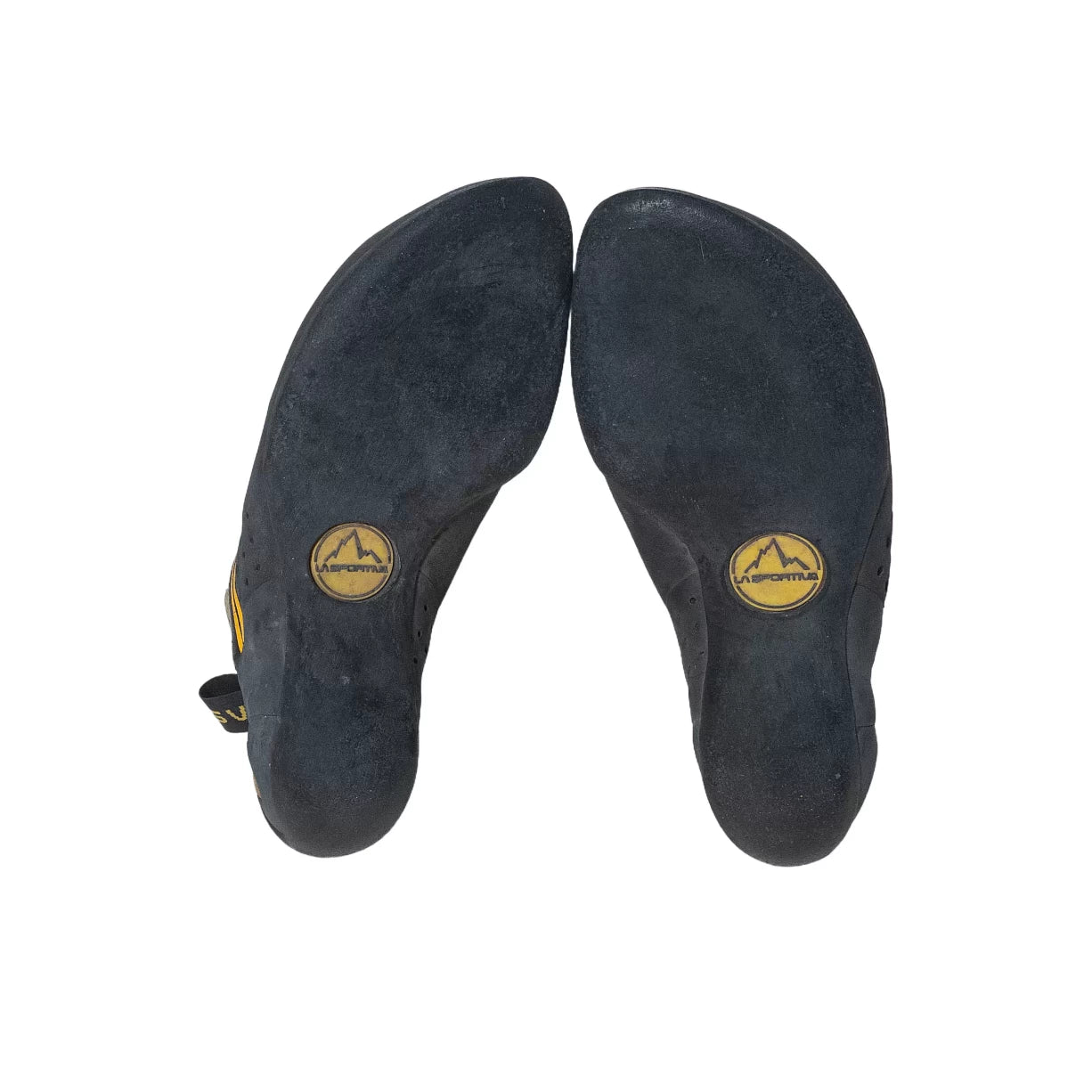 40.5Black/Yellow