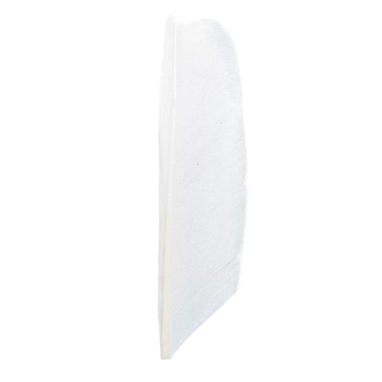 OneWhite