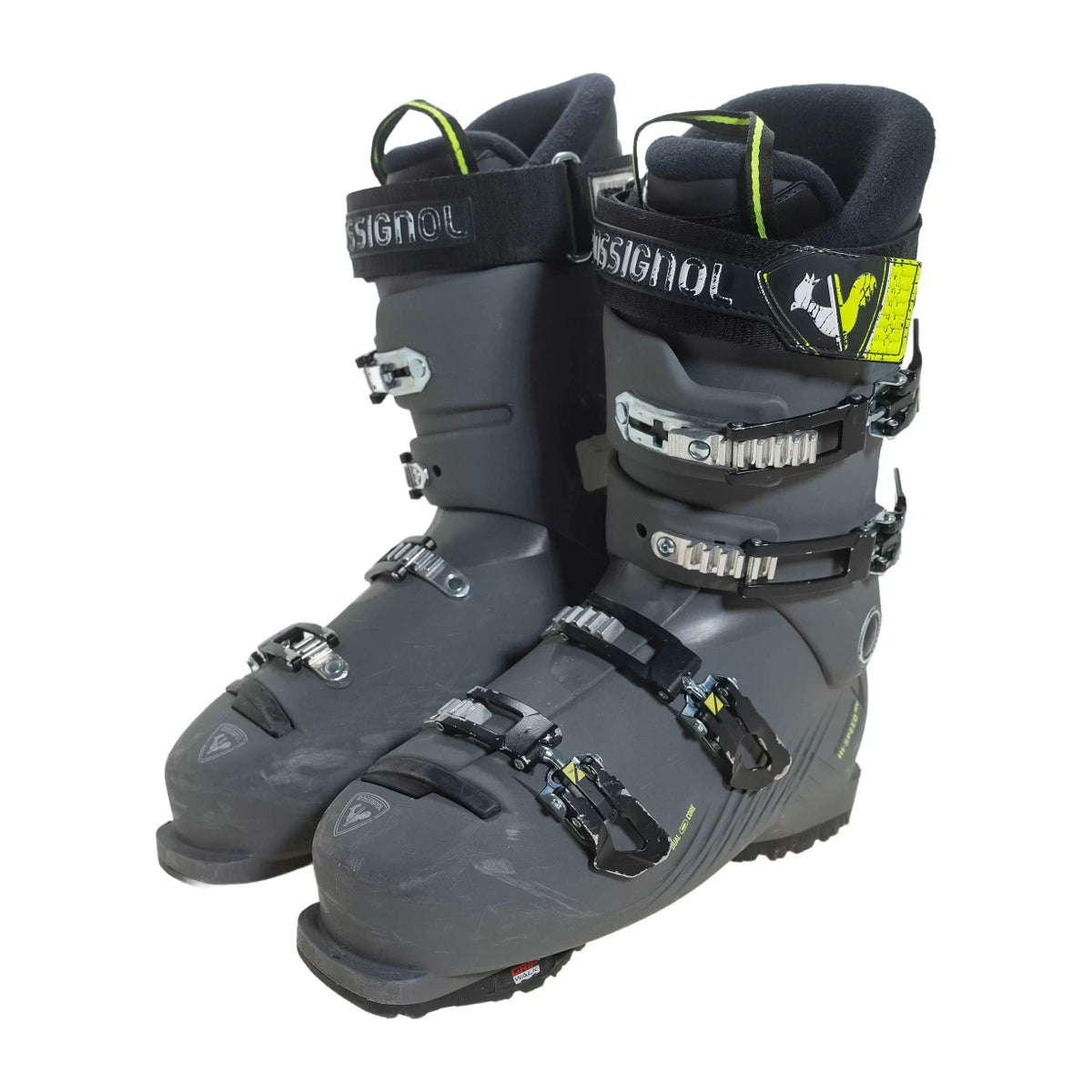 29.5Gray