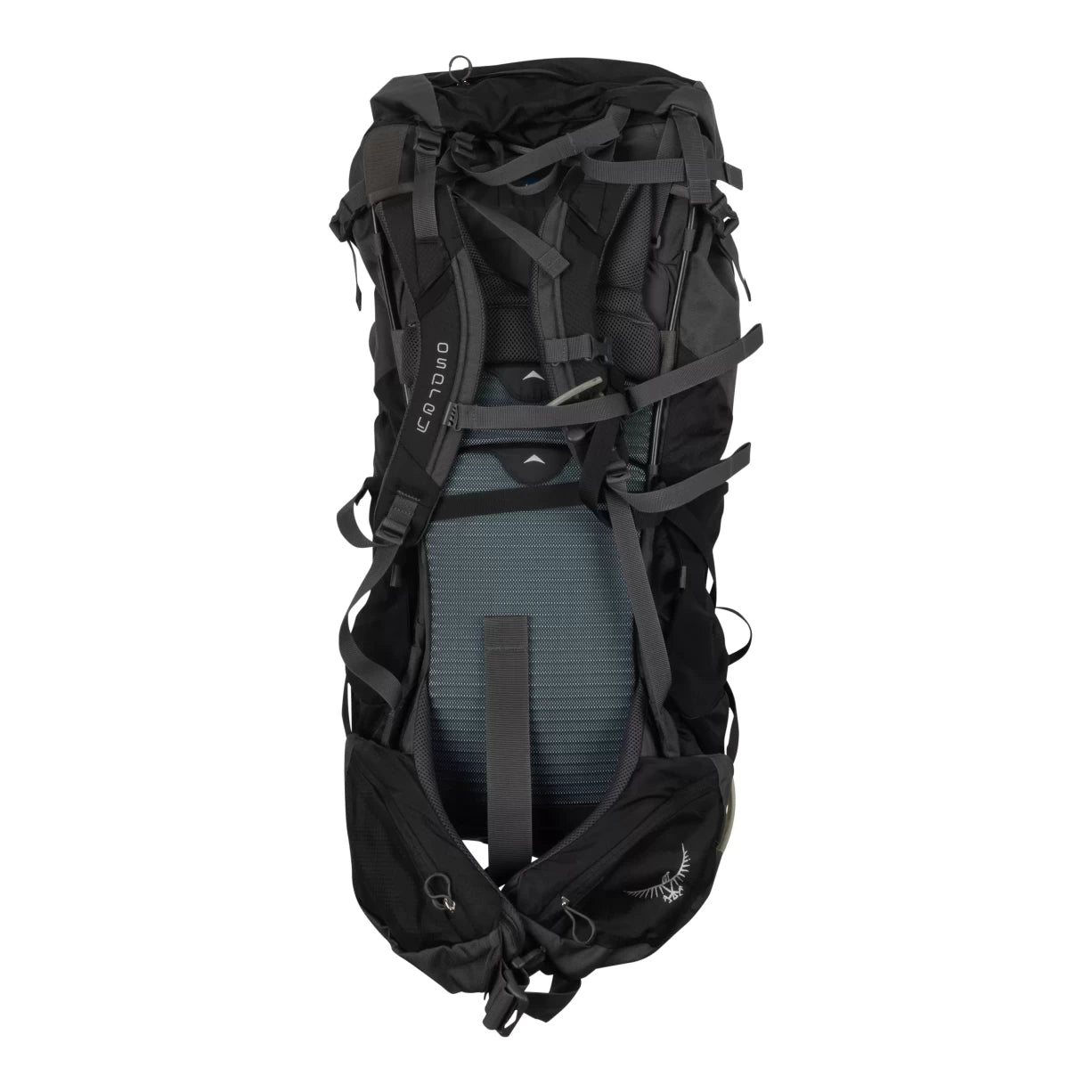60 LBlack