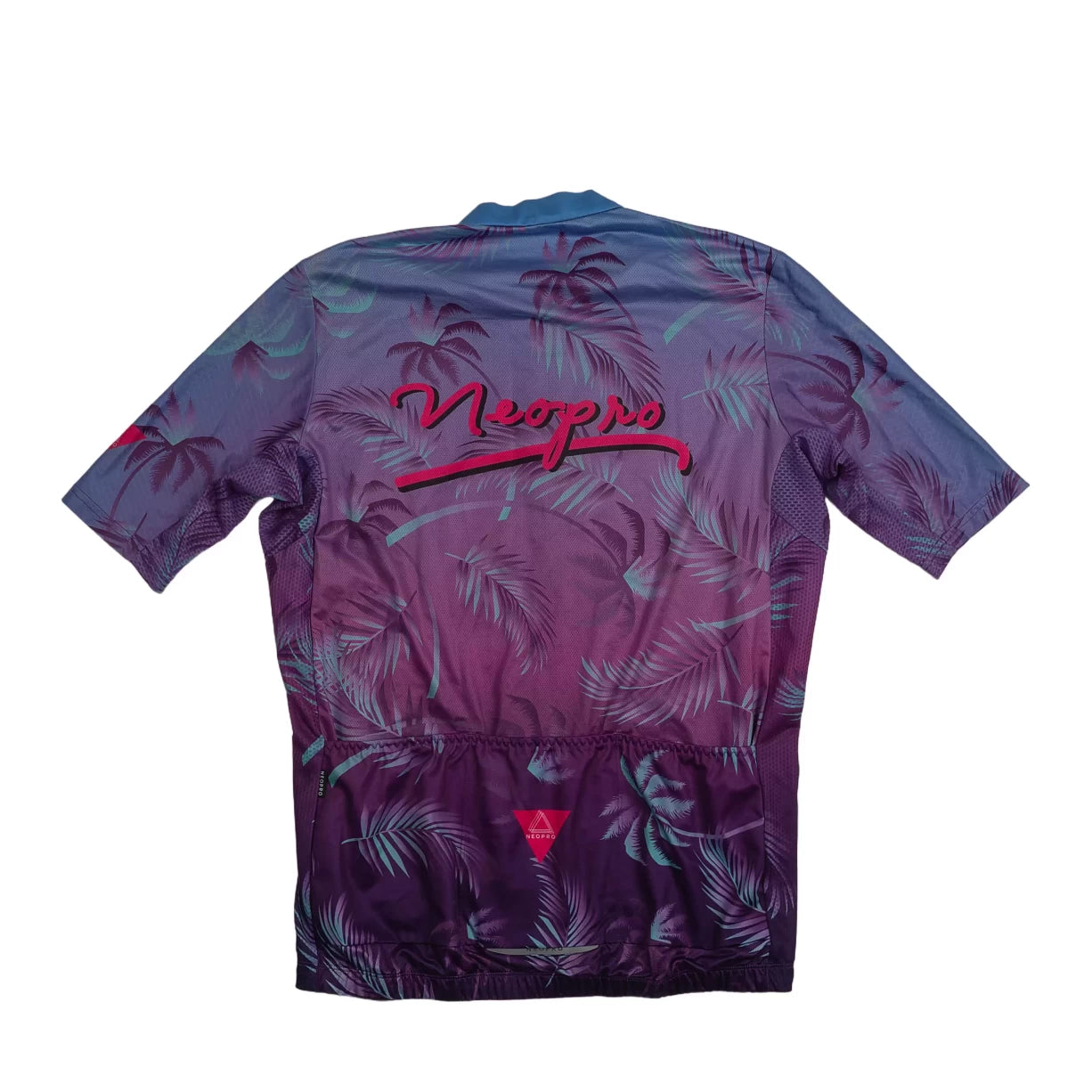 2XLPurple/Blue