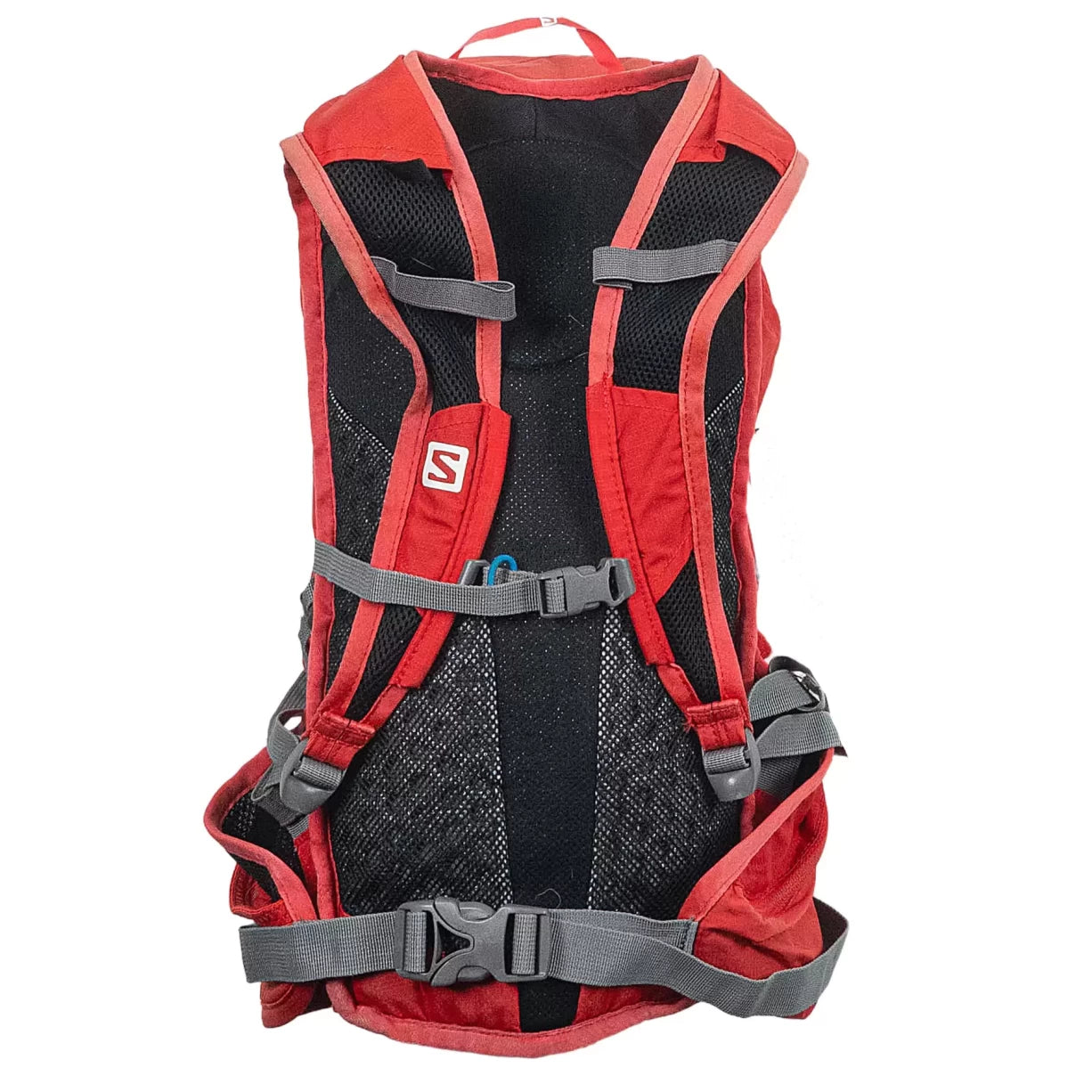 20 LRed