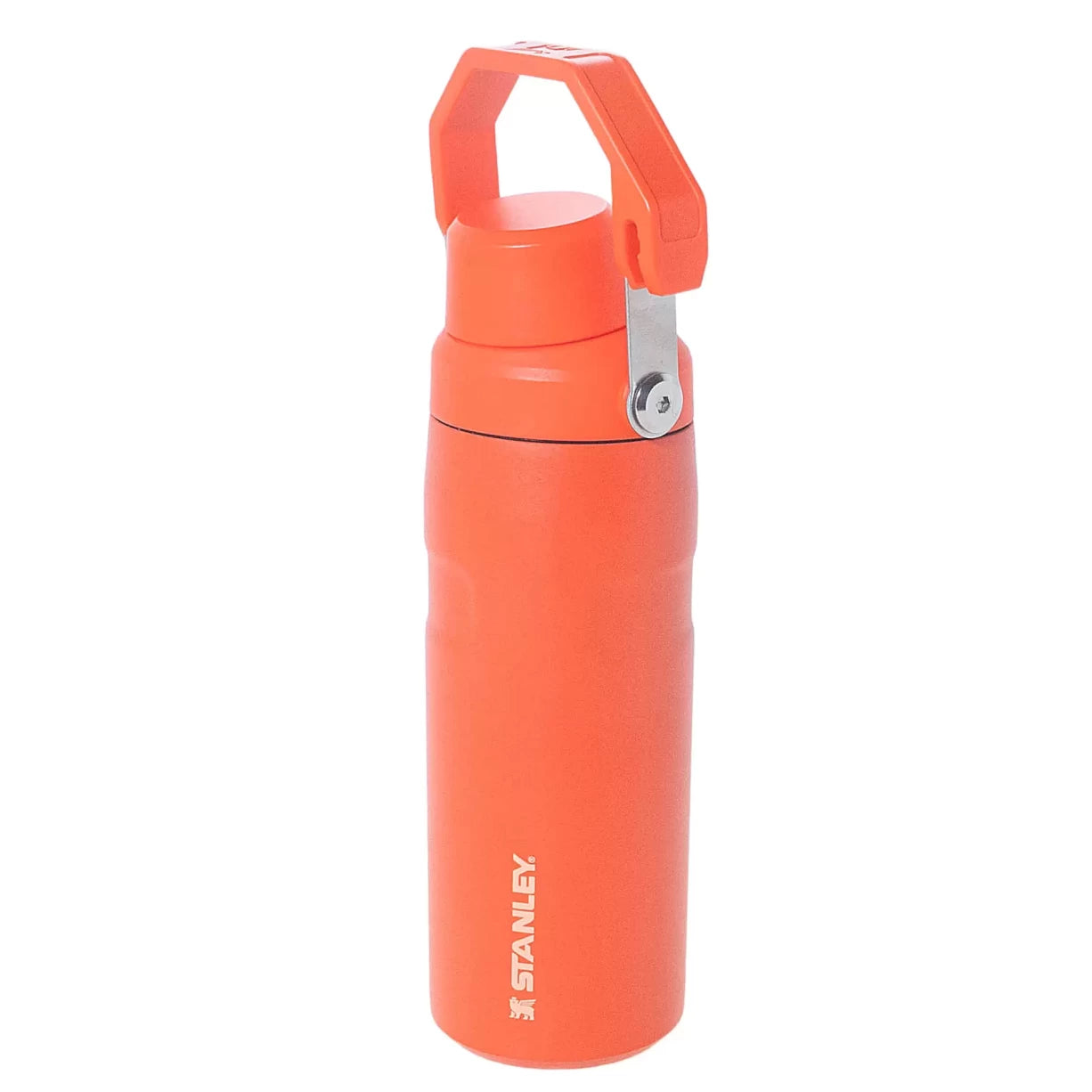 16 ozOrange