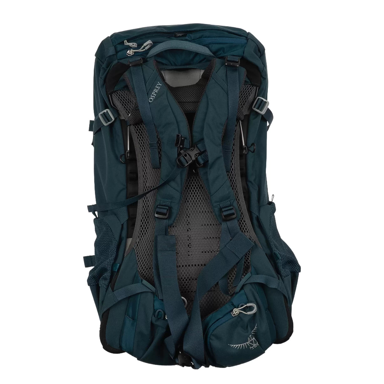 50 LBlue
