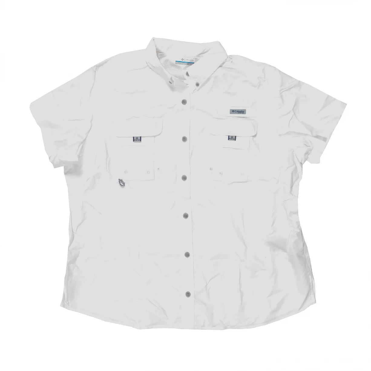 1XWhite