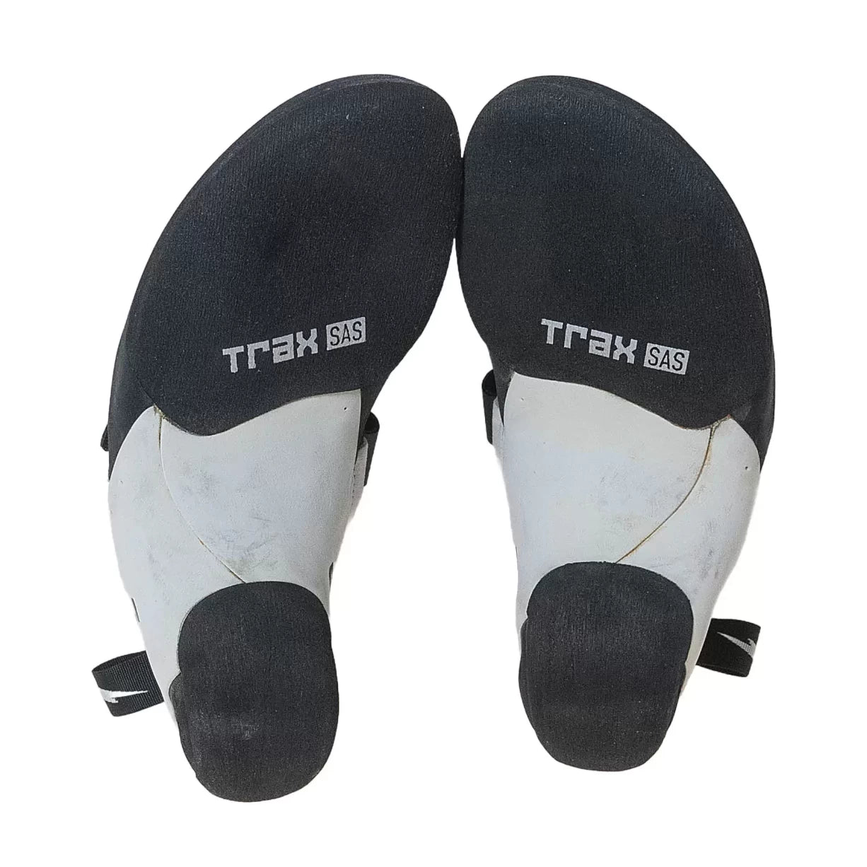 41.0White/Black