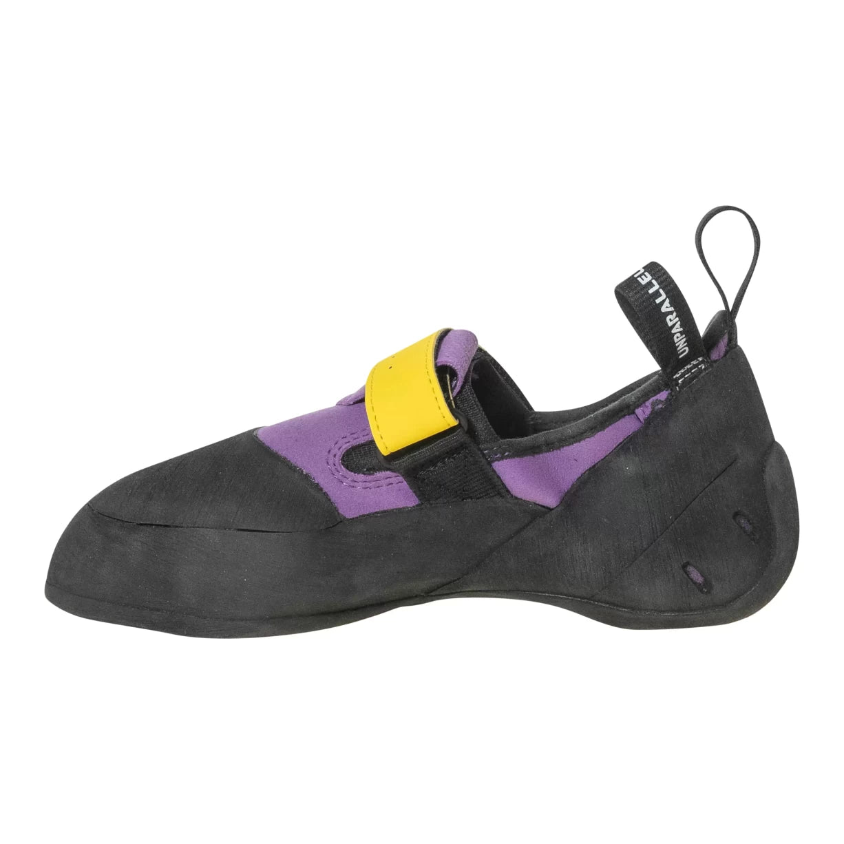 41.5Purple/Yellow