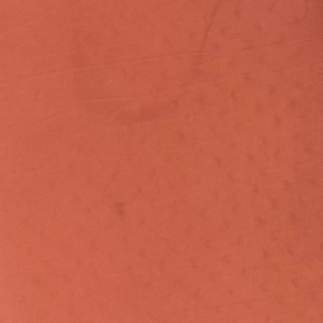 RegularOrange/Green