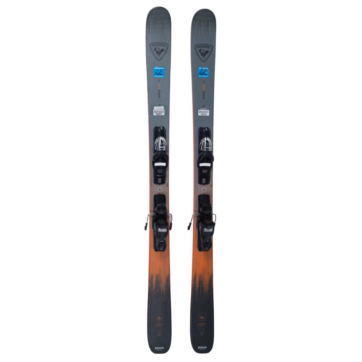 156cmGray/Orange