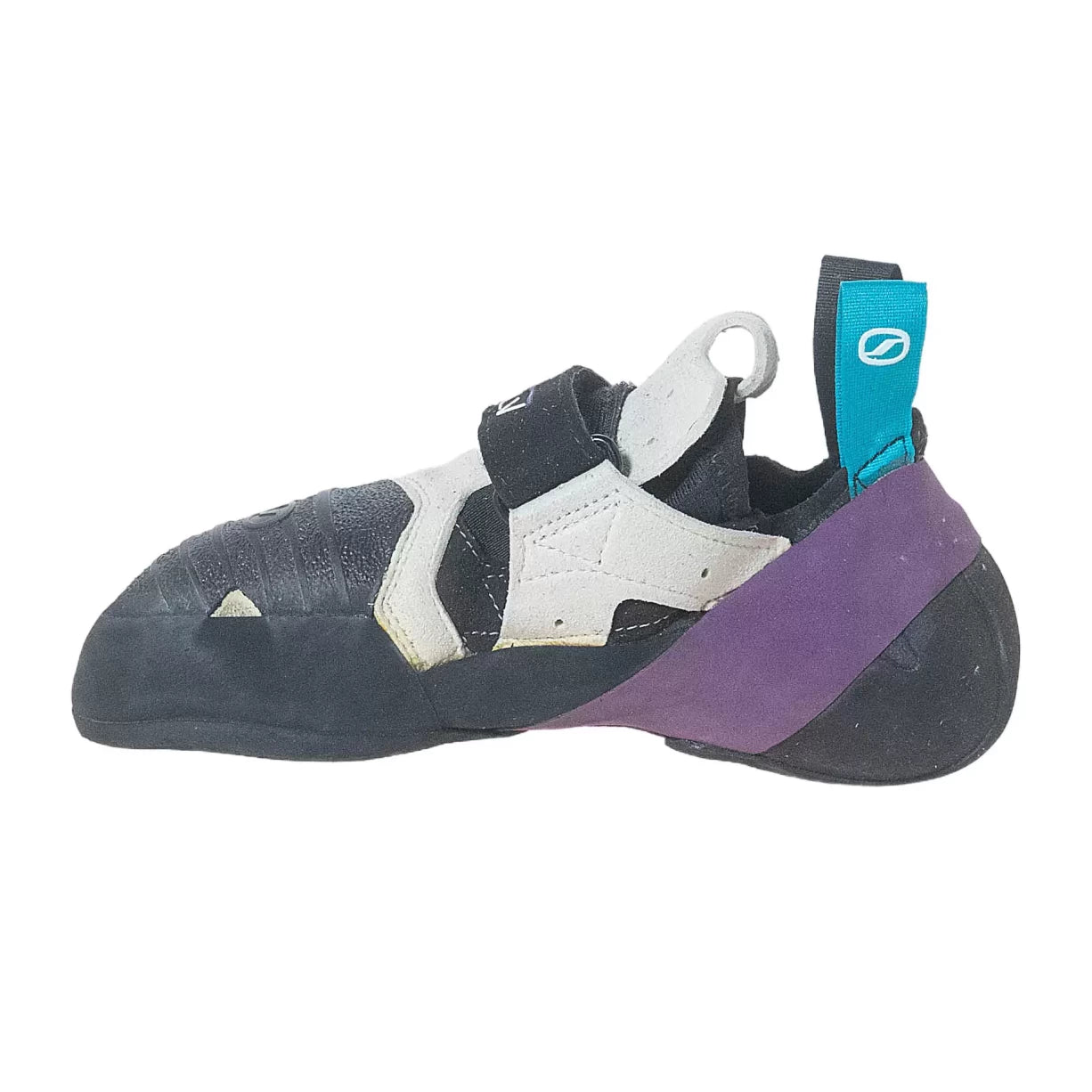39.5Purple/Black
