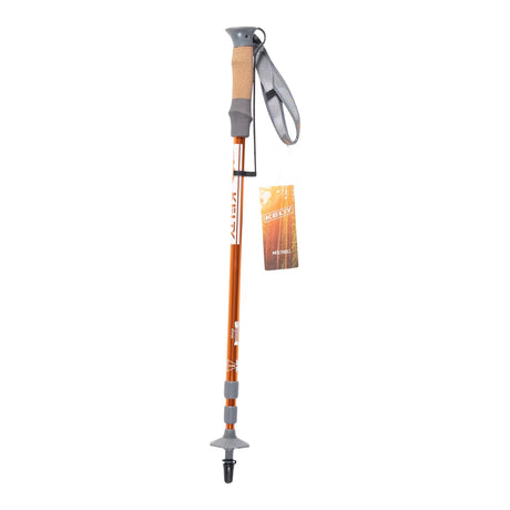 OneOrange