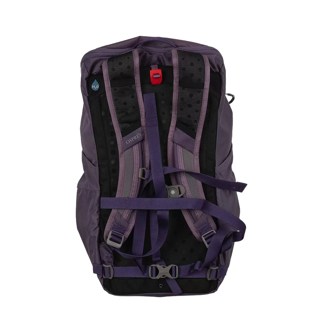 One SizePurple