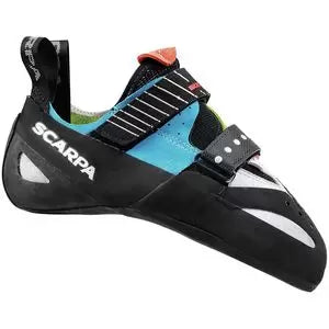 35.5Parrot/Spring/Turquoise