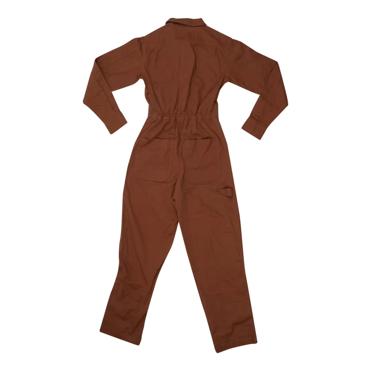 XSTortoise/Brown