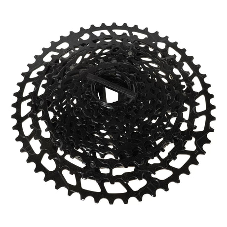 OneBlack