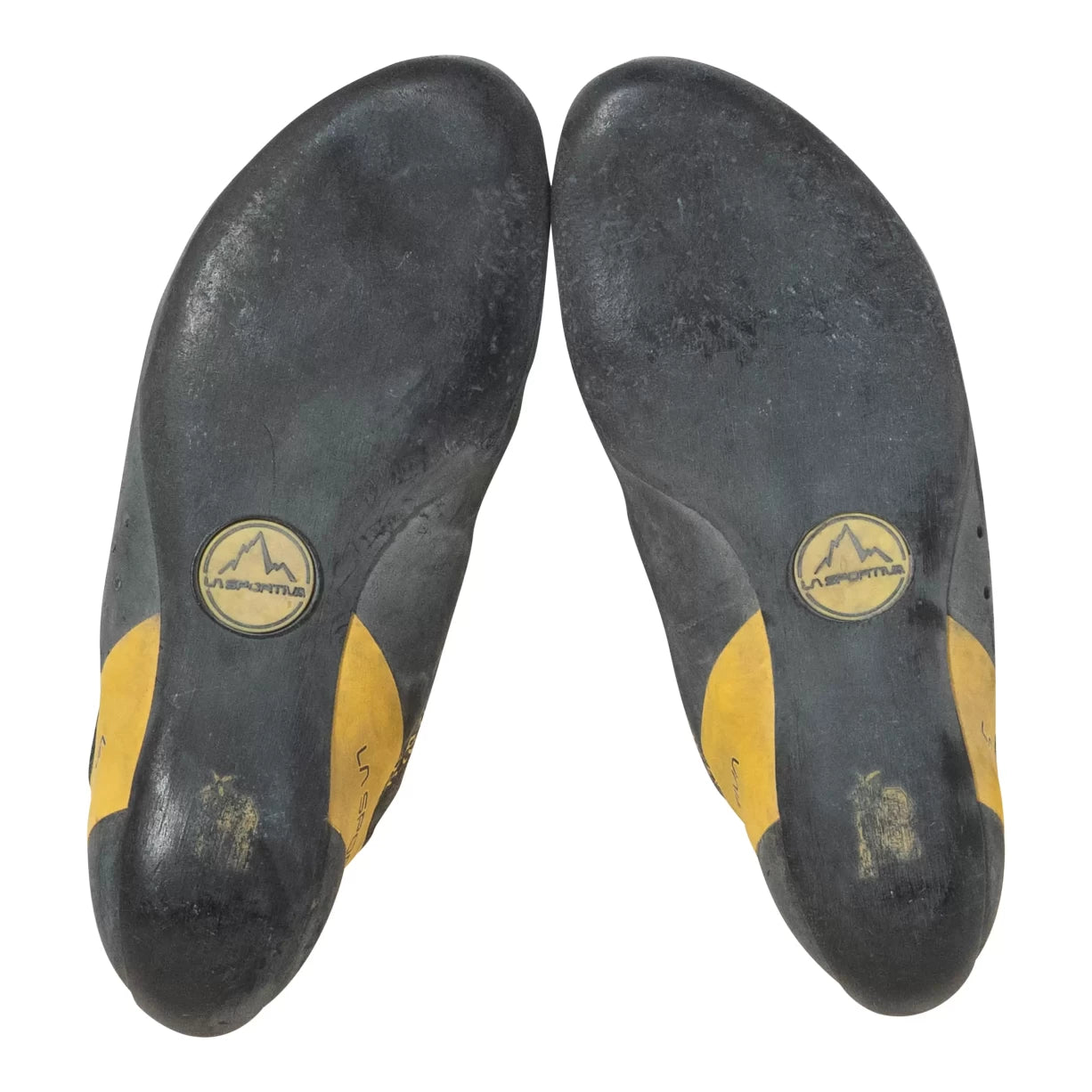 43.0Black / Yellow
