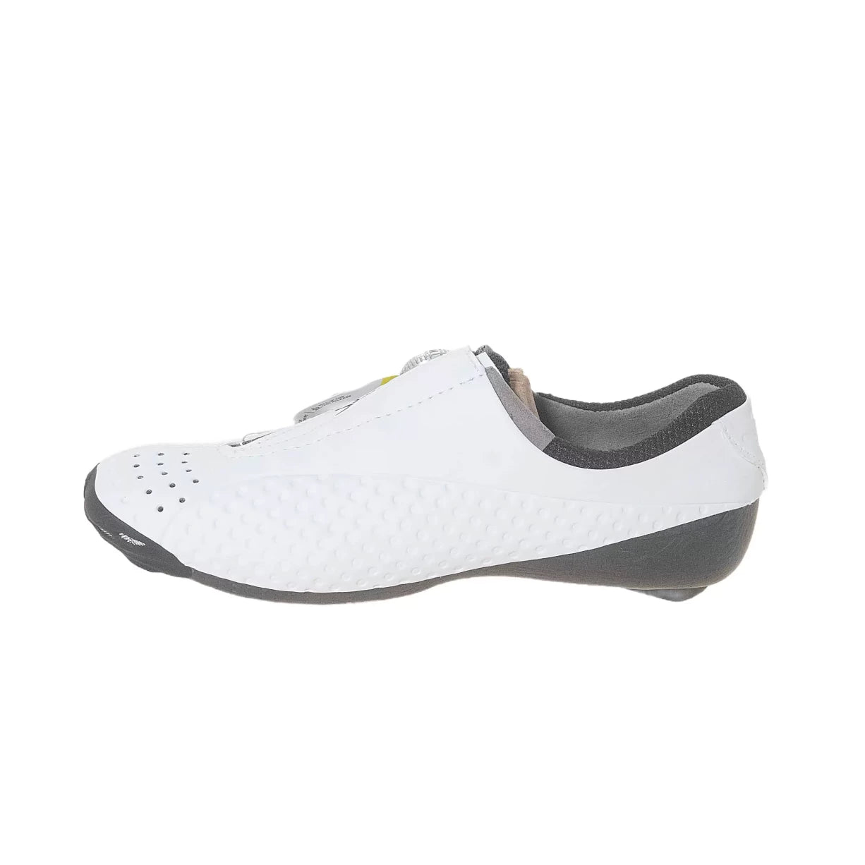 40.5White