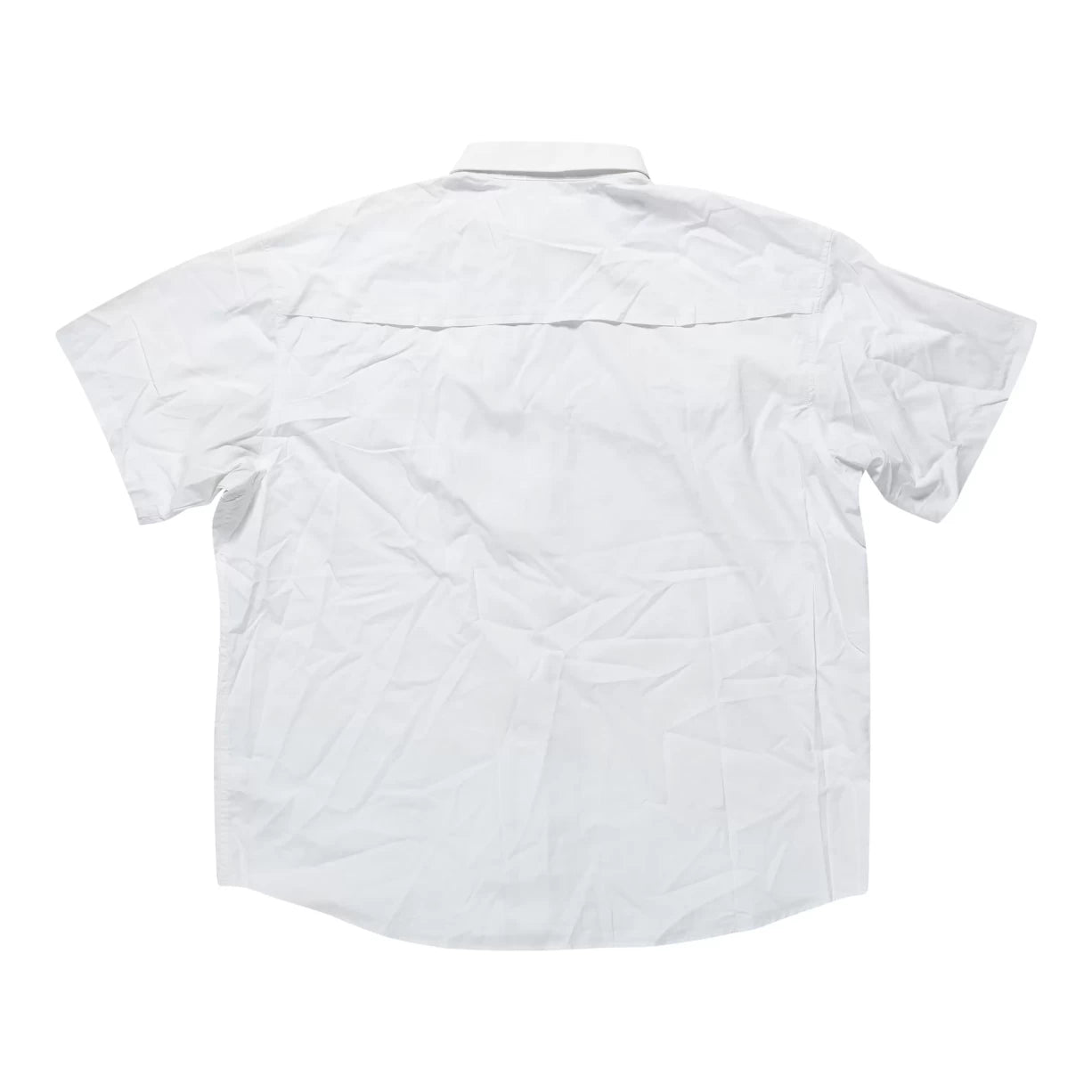 2XLWhite