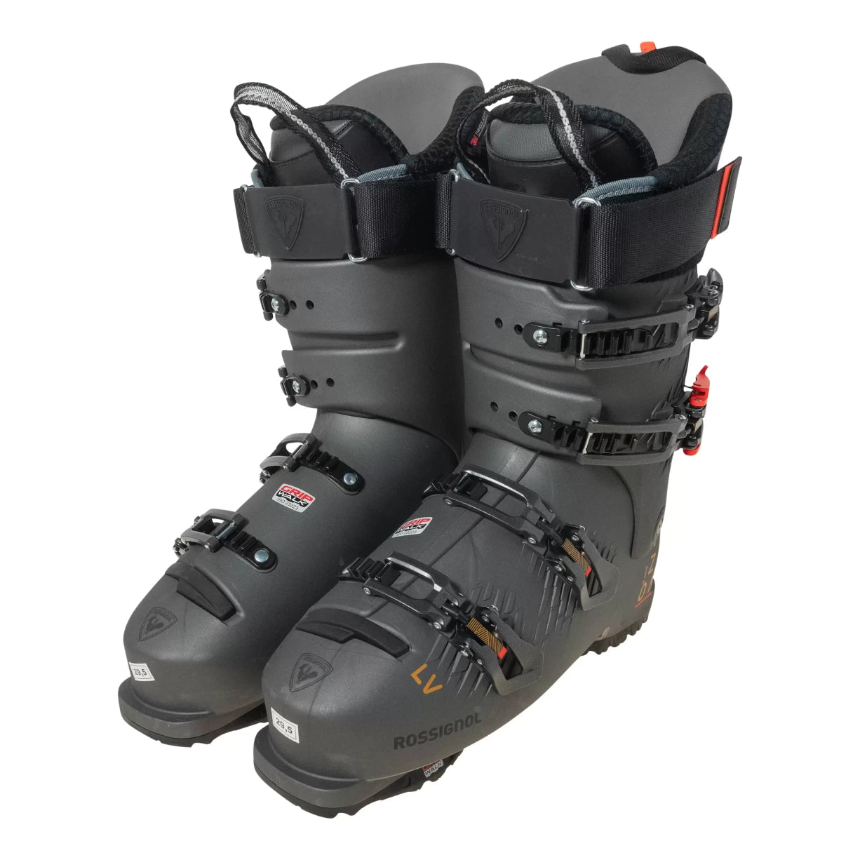 29.5Gray