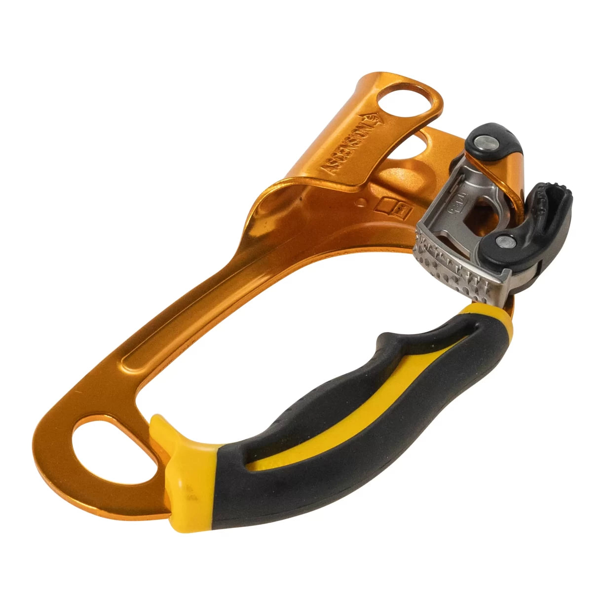 OneGold