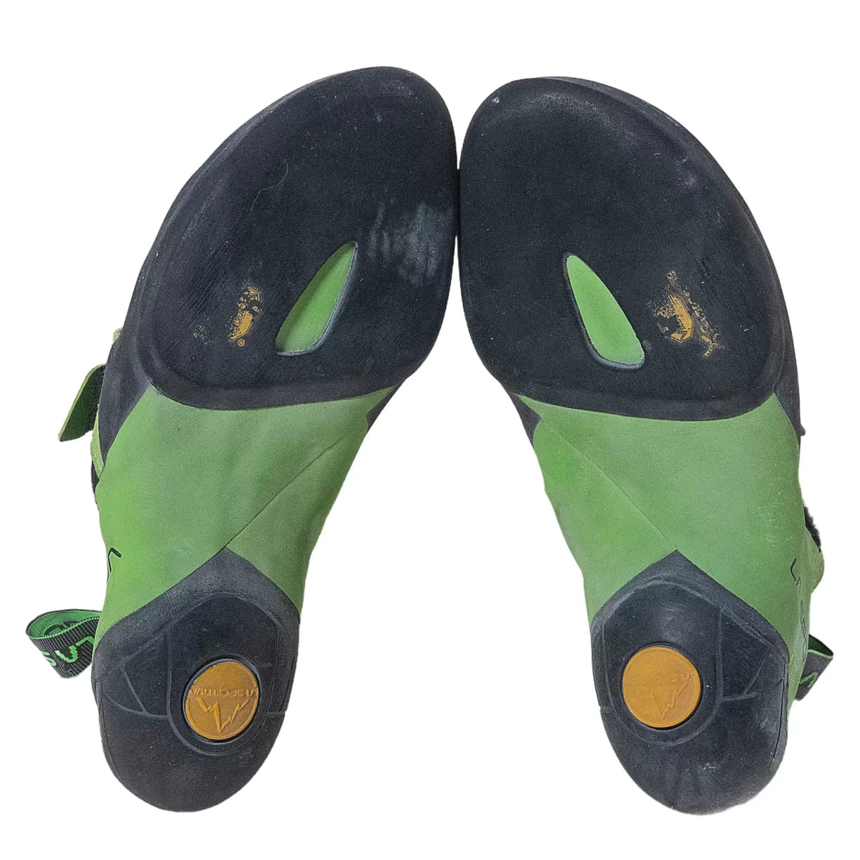 40.5Green/Black