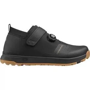 11Black/Gold
