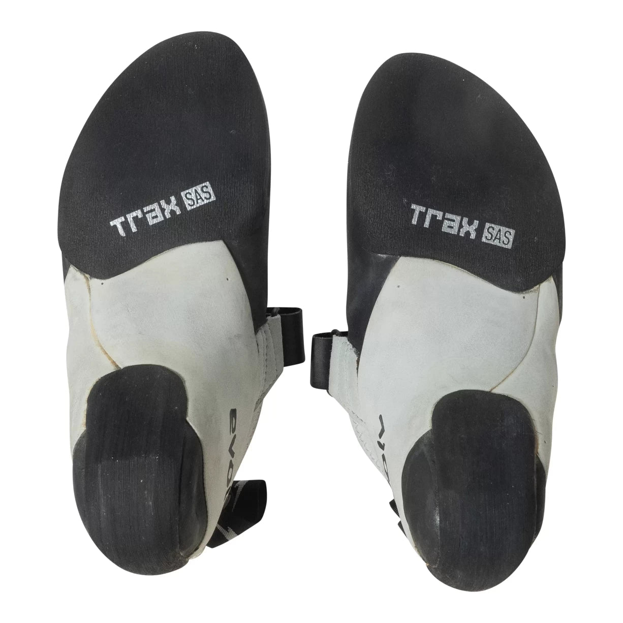 41.0White/Black