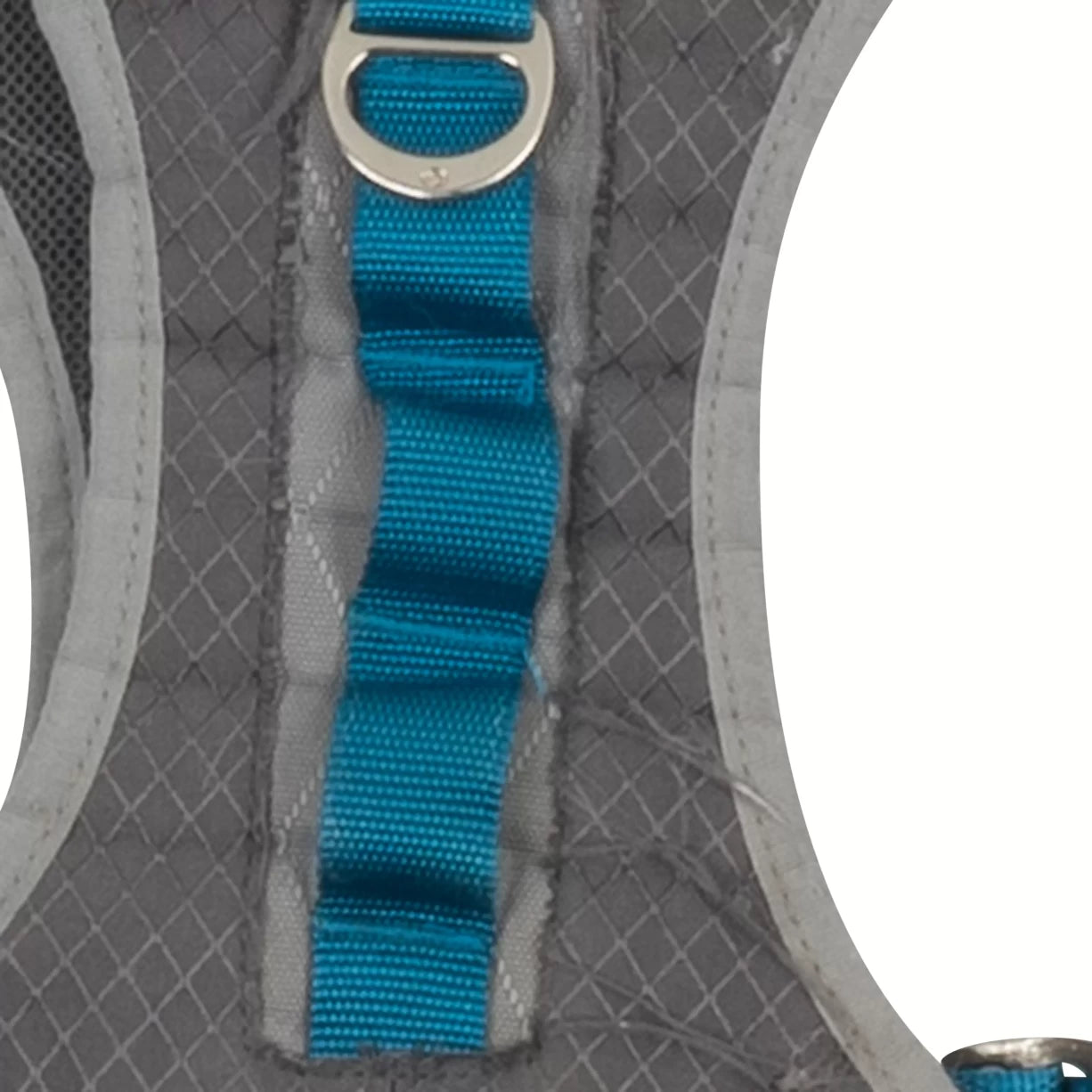 LGrey/Blue
