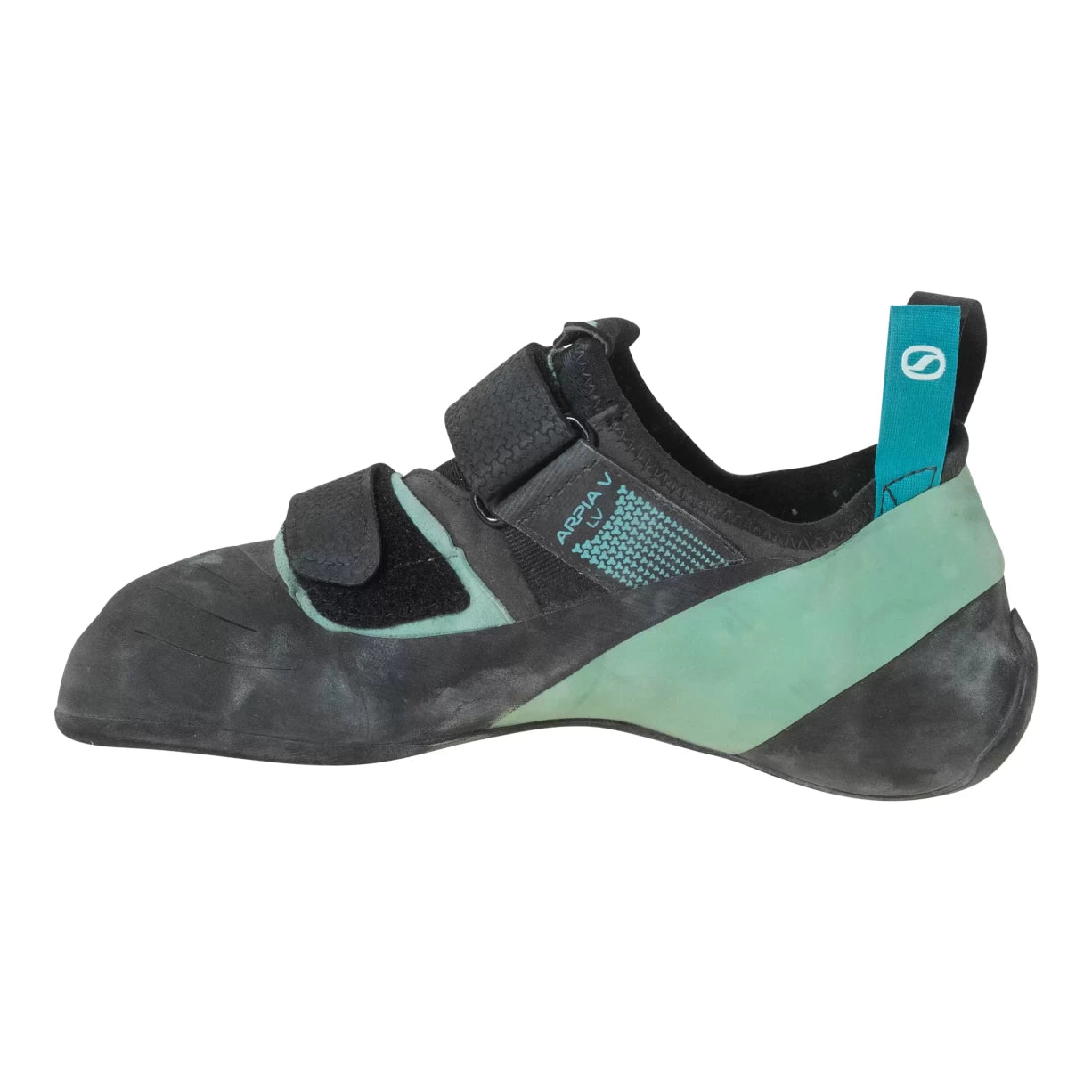 43.0Teal