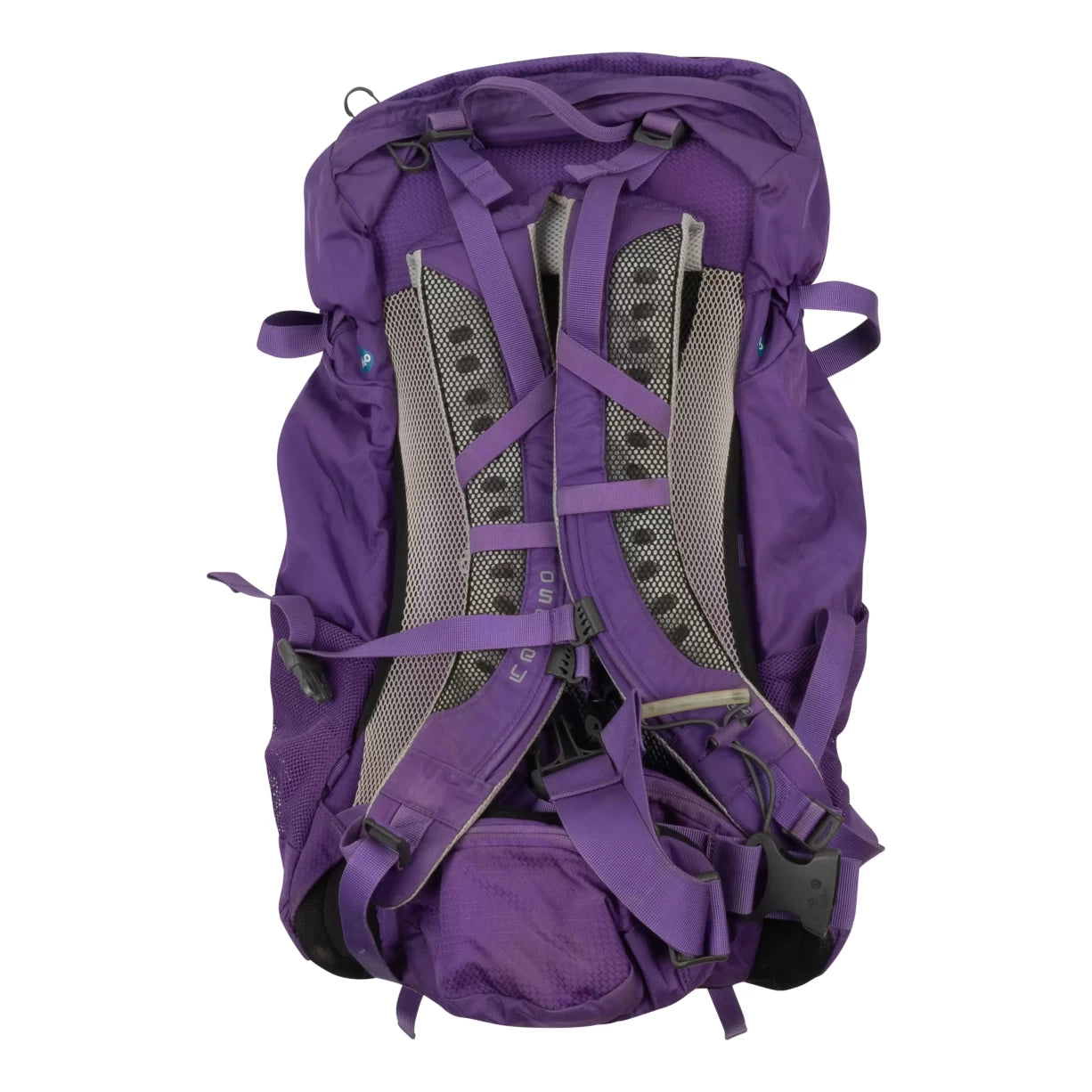 36 LPurple