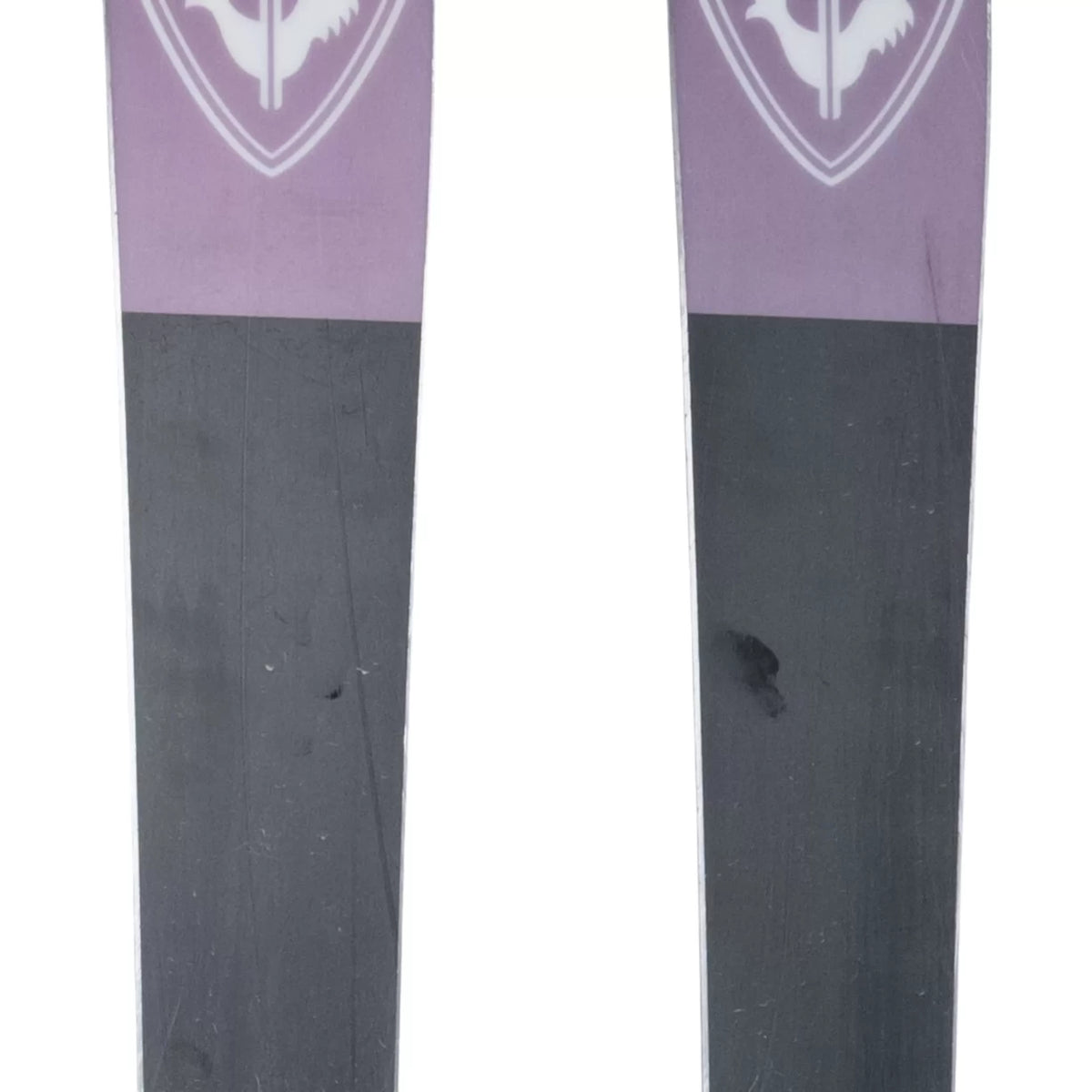 146cmPurple