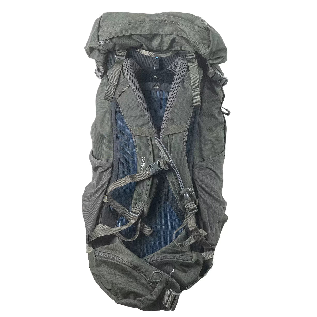 M/LDark Green