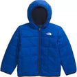 4TTNF Blue