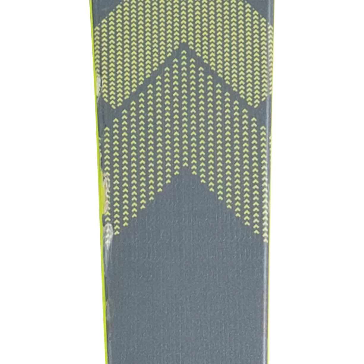 173cmGray/Green