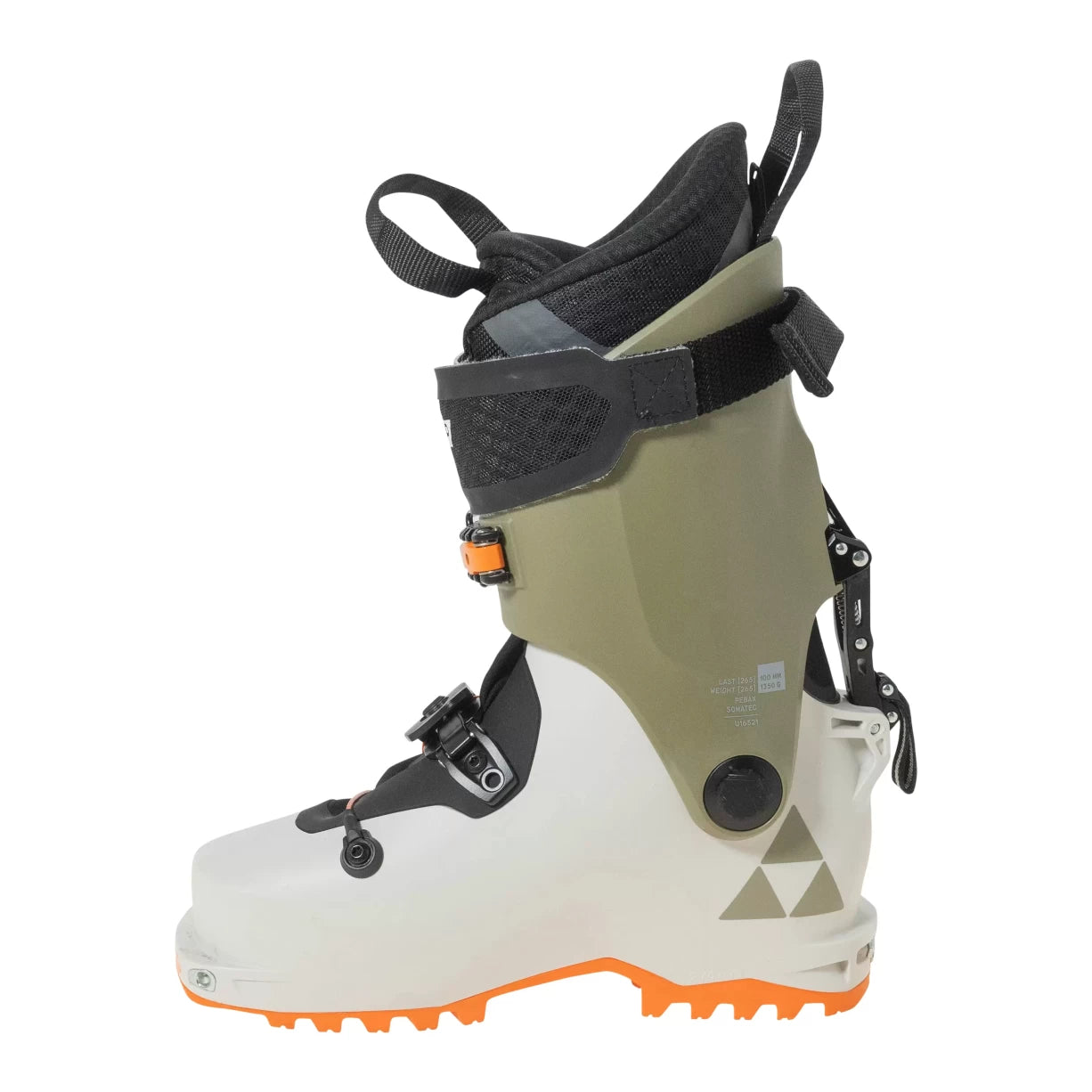 24.5White/Green