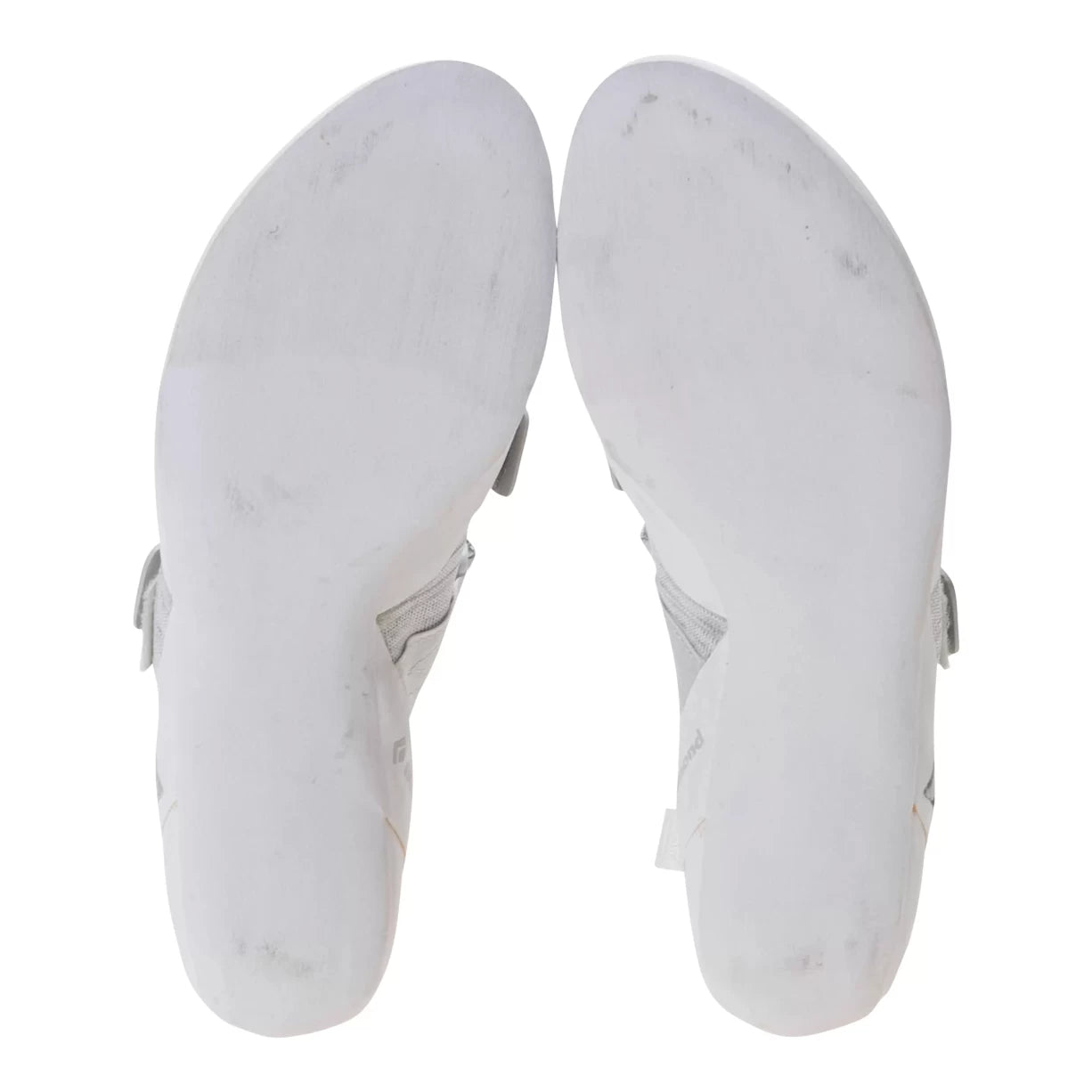 41.0White