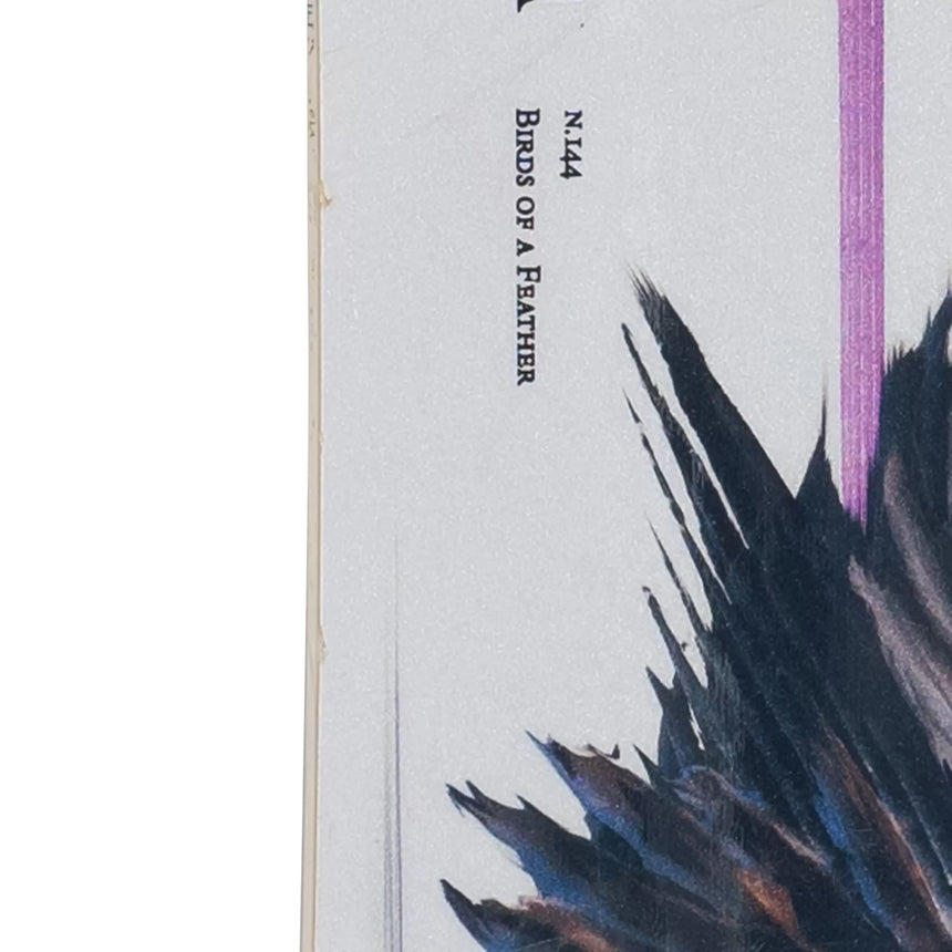 Capita Birds of a Feather Snowboard 2019 - 70% Off