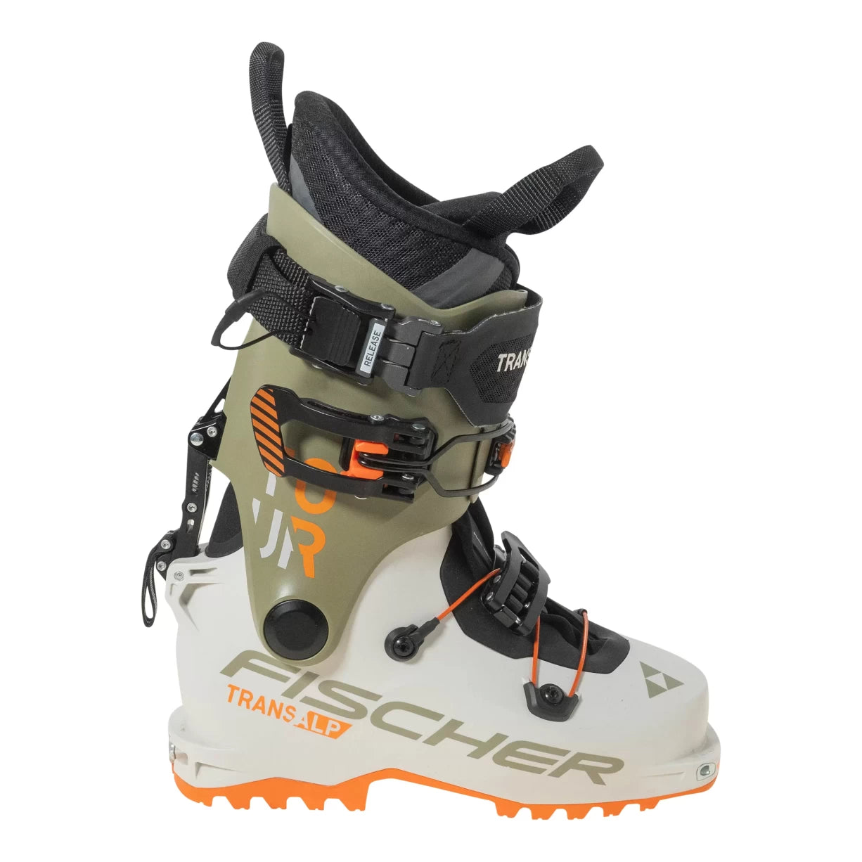 24.5White/Green