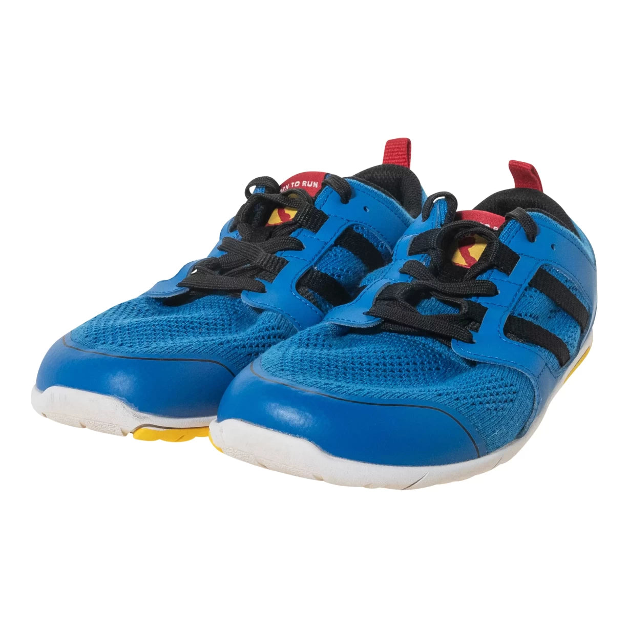 8Blue