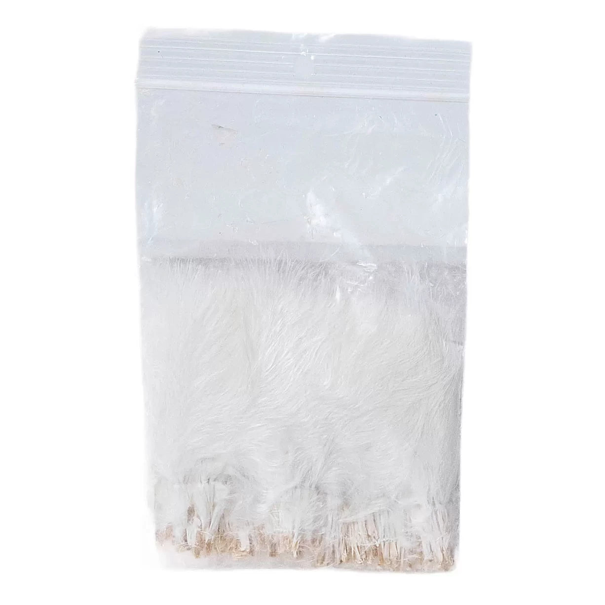 One SizeWhite