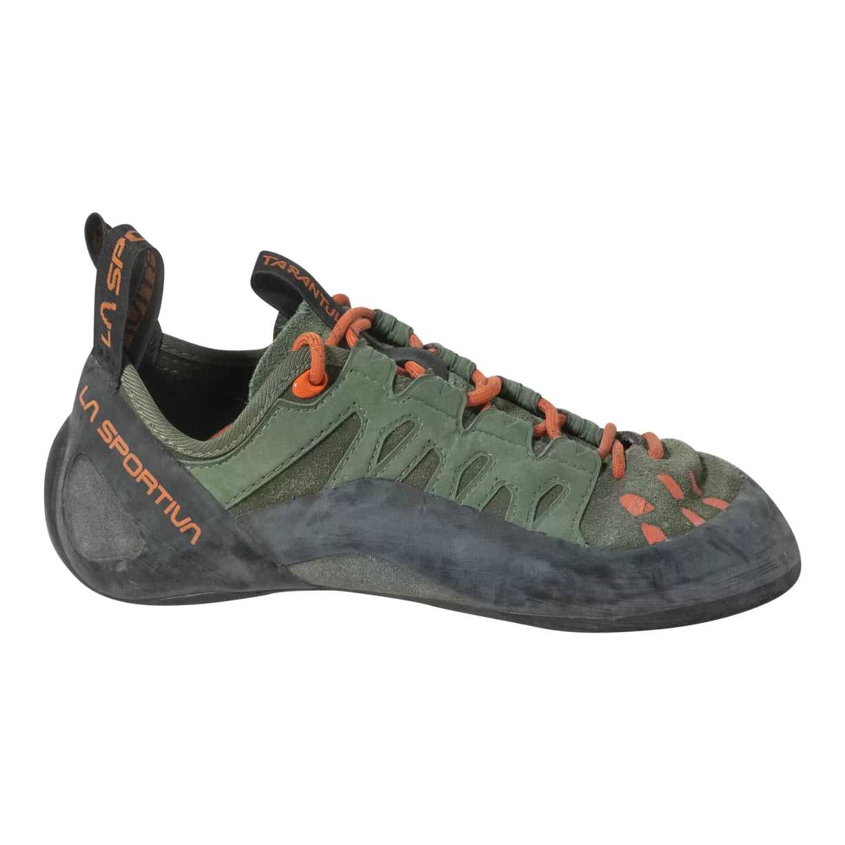 40.5Olive
