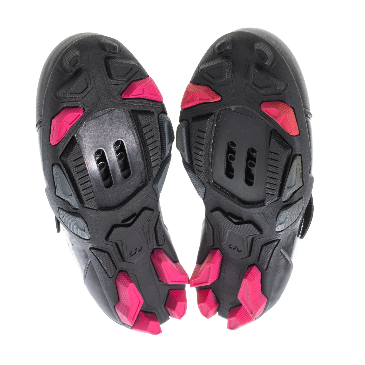 36Fuchsia