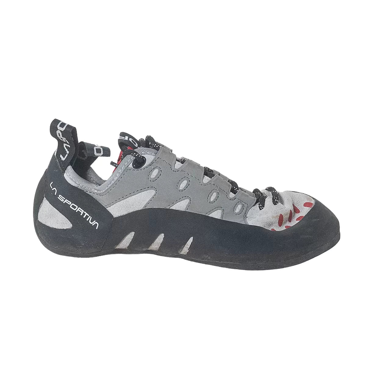 40.5Gray